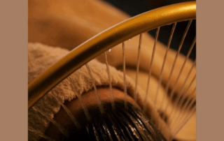 Thera Esthetique Grossiste En Produit Esthetique Bretagne 2